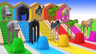 Long Slide Game with Cow Elephant Gorilla Hippopotamus Tiger 3d Animal Game Funny 3d Animals screenshot 3