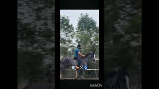 Rajput genes in him hits differently || #nexttoppers @DigrajSinghRajput214