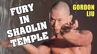 Wu Tang Collection - Fury in Shaolin Temple ( Mandarin with English Subtitles)
