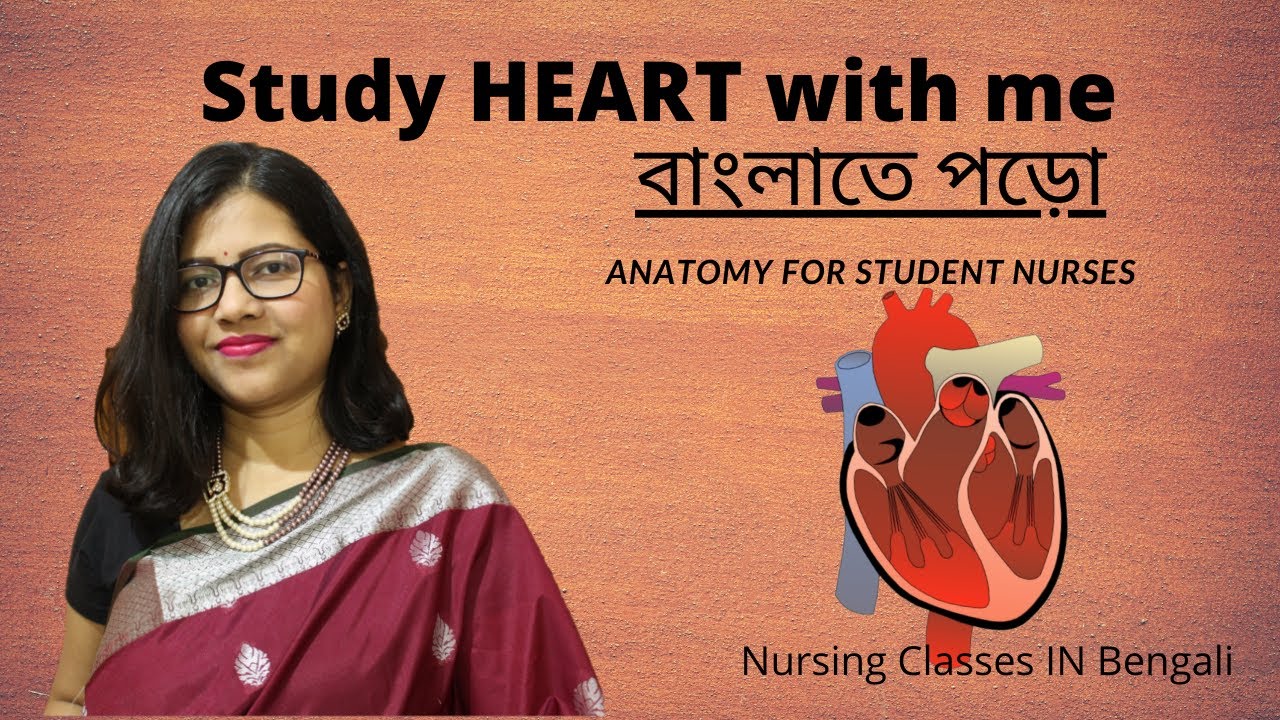 HEART ANATOMY I Easy explanation for Student Nurses I বাংলাতে পড়ো