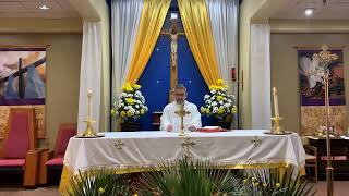 II Domingo de Pascua o Domingo de Divina Misericordia