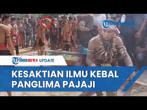 Adu Kekuatan dengan Panglima Jilah, Ini Kesaktian Panglima Pajaji Disebut Kebal Senjata Tajam