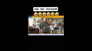 Лей пёс поганый #shorts #лдпр #жириновский