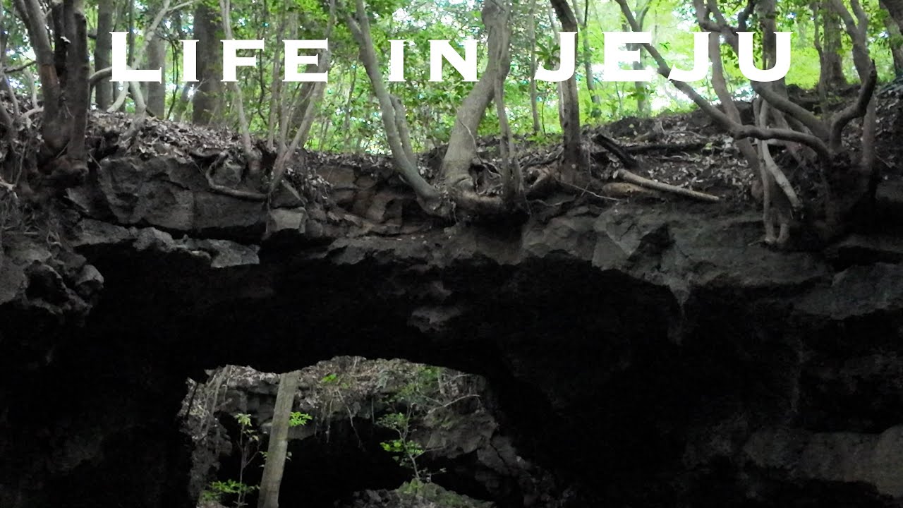 🇰🇷 2025 세계유산축전 워킹투어 2구간 동굴의길