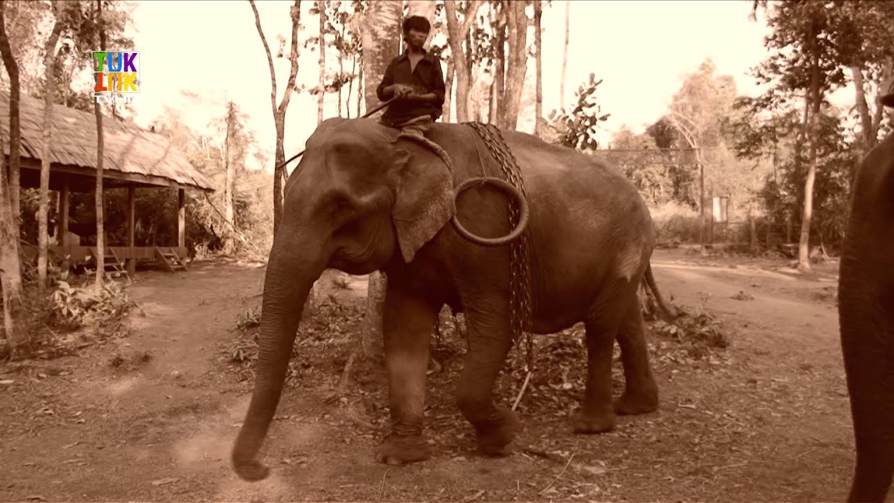 Mahout — Bunong — Mondolkiri