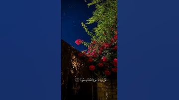 قرآن كريم .. محمد صديق المنشاوي #قران_كريم #المصحف #عبدالباسط_عبدالصمد #المنشاوي #عبدالرحمن_مسعد