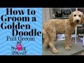 Trimming a Goldendoodle
