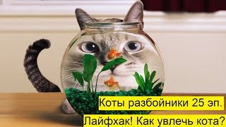 №25  Лайфхак! Как увлечь кота? Life hacking! How to captivate a cat? Лучшие приколы