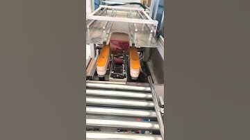 Testing video for automatic carton box tape sealing packing machine carton sealer line