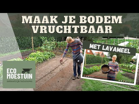 Video: Gruis Tuin: Wat Is Goed En Hoe Om Plante Te Kies?