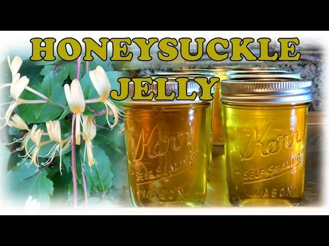 ვიდეო: რა უნდა საზ Honeysuckle