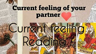 current feeling of your partner 🥰🧿#tarot#tarotcardreading #tarotgratis #tarotamor❣️ 4Feb