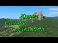 Отузская долина виноградников. Крымская Спящая красавица в Щебетовке.