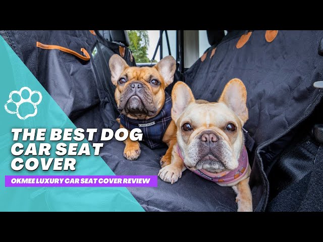 The Best Dog Car Seat Cover Review | OKMEE Luxury Dog Car Seat Cover -  YouTube