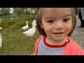 Elisanin Kazlar ve ördekler ile tanışma anı!! #viralvideo #takip 
