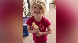 Baby and Bird Funny Fails