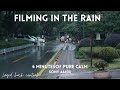4 minutes of pure calm. Filming on a Rainy day (sad music)