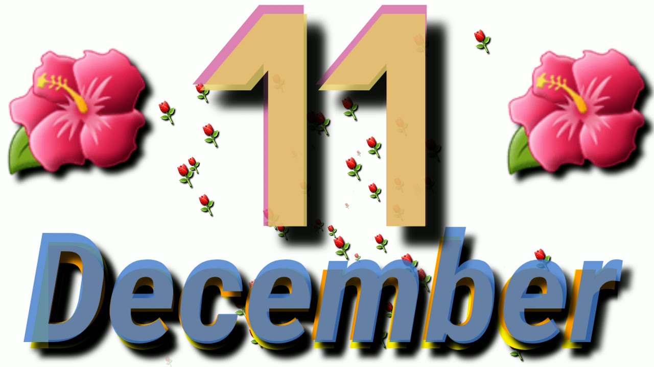 11 December , Happy Birthday Wishes WhatsApp Video Status... YouTube