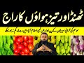 Punjab fresh vegetables update  4 may 2024  fruits and vegetables  sabzi mandi islamabad