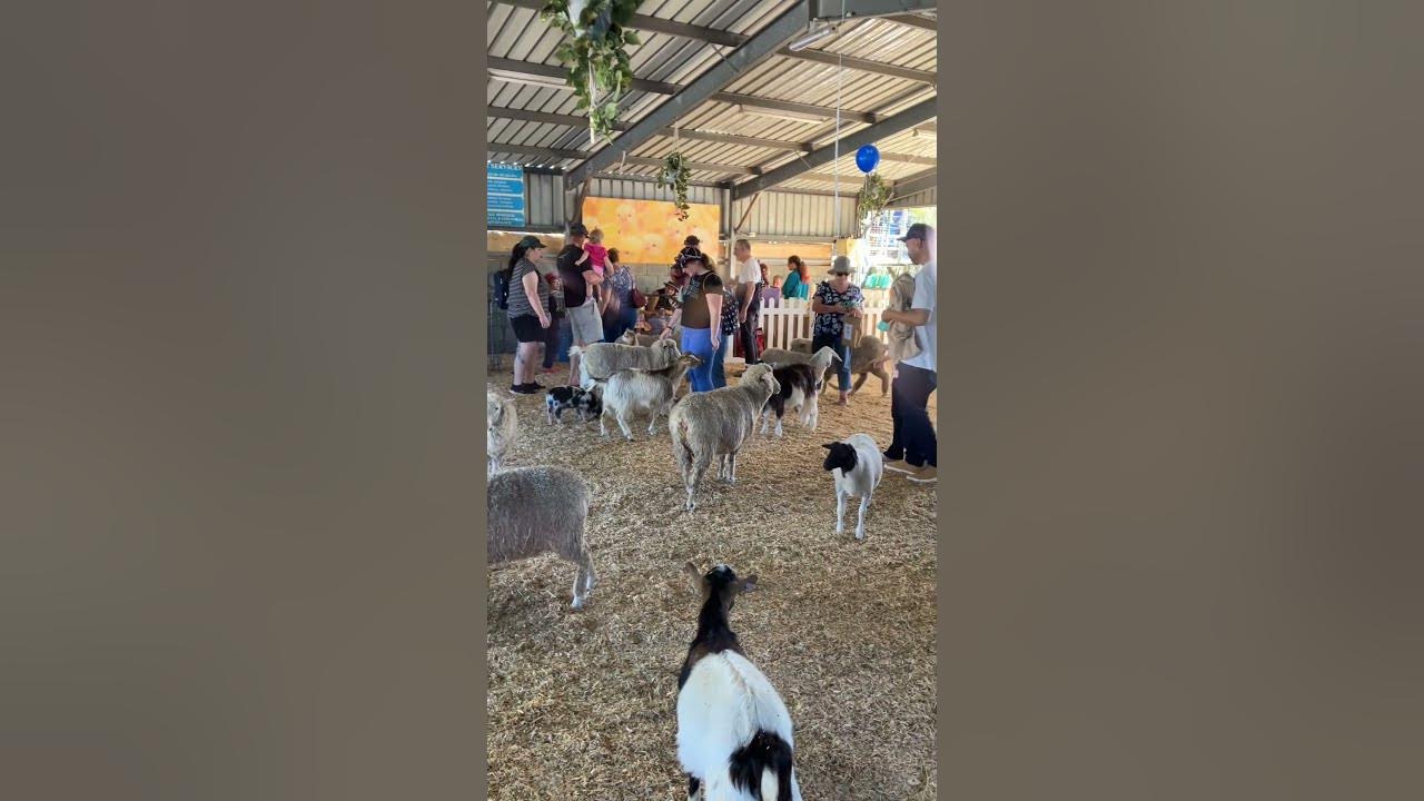 ipswich show day 2024 Australia #australia - YouTube