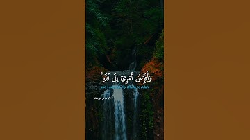 وَأُفَوِّضُ أَمْرِي إِلَى اللَّهِ ۚ إِنَّ اللَّهَ بَصِيرٌ بِالْعِبَادِ   القارئ ياسر الدوسري
