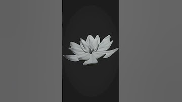 3d flower model process created with #blender3d #3dmodeling