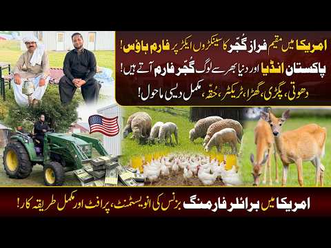 Gujjar Farmhouse In America 🇺🇸| Desi Village Life & Poultry Farming Business | Hafiz Ahmed