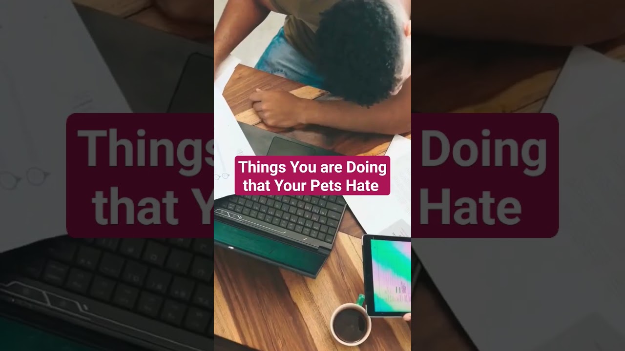 Things You are Doing that Your Pets Hate 