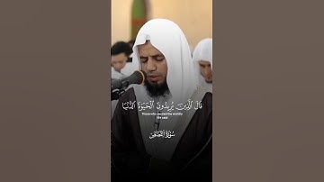 فخرج على قومه في زينته | تلاوة مرئية | سورة القصص | الشيخ أبوبكر الشاطري