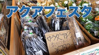 9/29  アクアフェスタ＃493