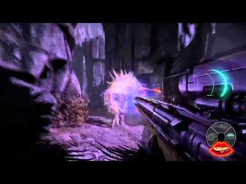 Evolve New Hunter Crow Tutorial