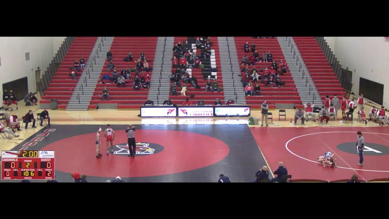 Alexandria High vs. Willmar Varsity Womens' Volleyball YouTube