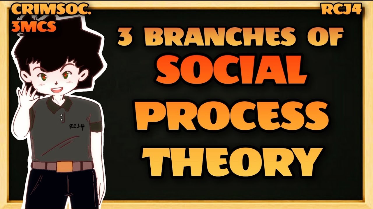 Social Process Theory Examples Social Process Theory Examples