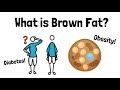 Breaking Down Brown Fat - Treatment for Obesity & Diabetes