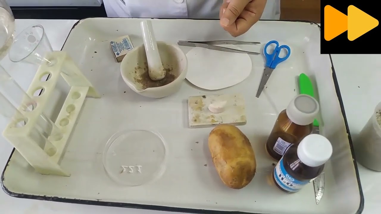 KATALAZA FERMENTINING AKTIVLIGINI ANIQLASH(Muskul to'qimasi misolida batafsil)