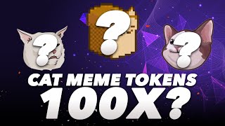 Cat Meme Tokens To The moon (POPCAT, LMEOW) ?!
