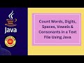 Count Words, Digits, Spaces, Vowels & Consonants in Text File in Java in Hindi |Java fundamentals