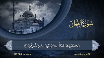 16   سورة النحل   الشيخ أحمد النفيس