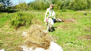 Workday on Brook Meadow 03 09 23