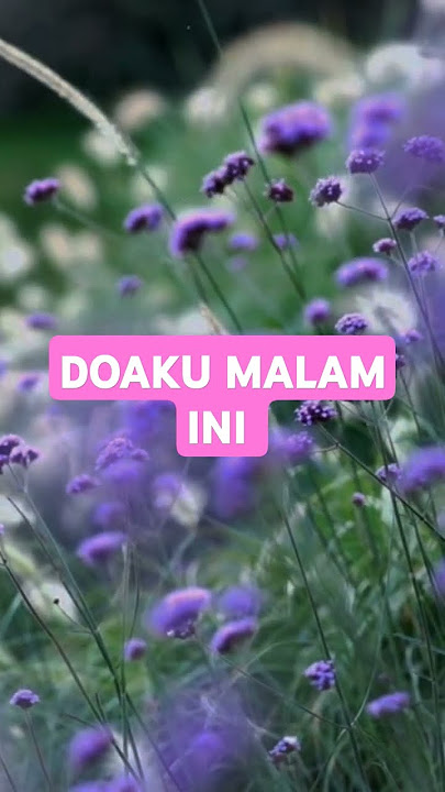 DOAKU MALAM INI | #doa #doamustajab #doaharian #ummaq