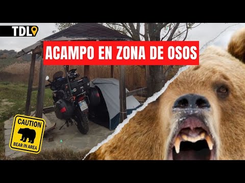 Video: Visita a los santuarios griegos al borde de la carretera