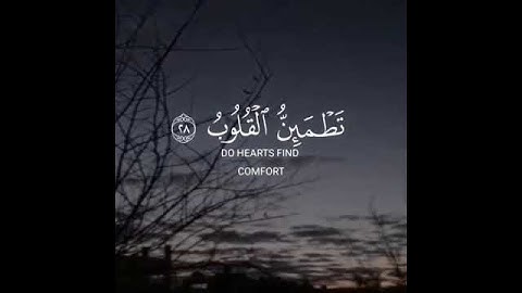القارئ عبد الرحمن مسعد سورة (الرعد)