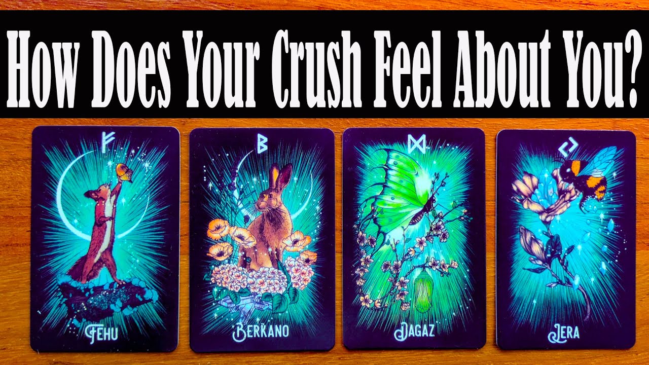 YOUR CRUSH'S TRUE FEELINGS! | Pick A Card Timeless Tarot Reading