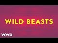 Wild beasts  sweet spot official audio