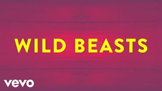 Video thumbnail of "Wild Beasts - Sweet Spot (Official Audio)"