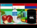 Таджикистан VS Узбекистан VS Армения Tajikistan Uzbekistan Сравнение цен стран на товары и услуги