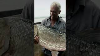 The Toothy Ultimate Piranha Fish | River Monsters | Animal Planet