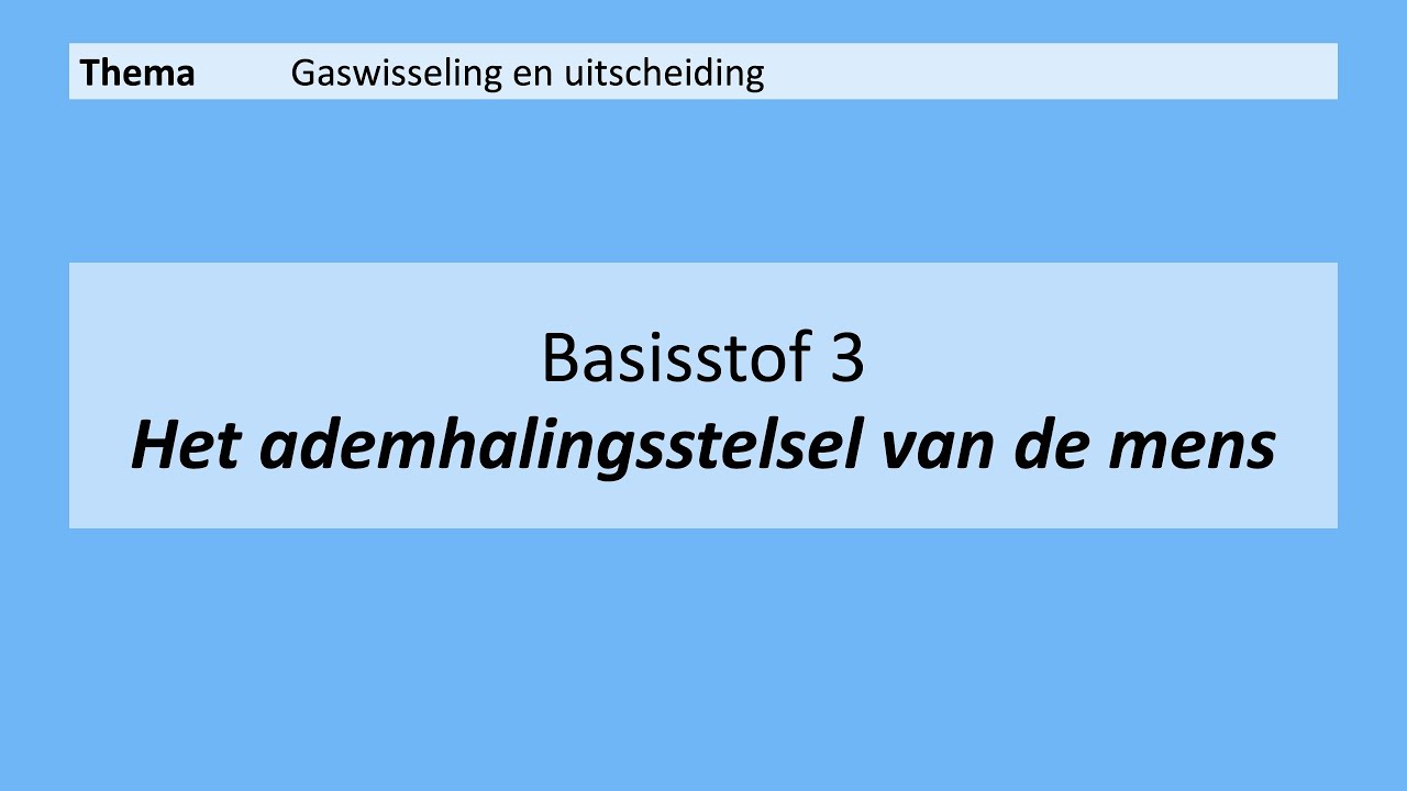VMBO 4 | Gaswisseling en uitscheiding | Basisstof 3. Het