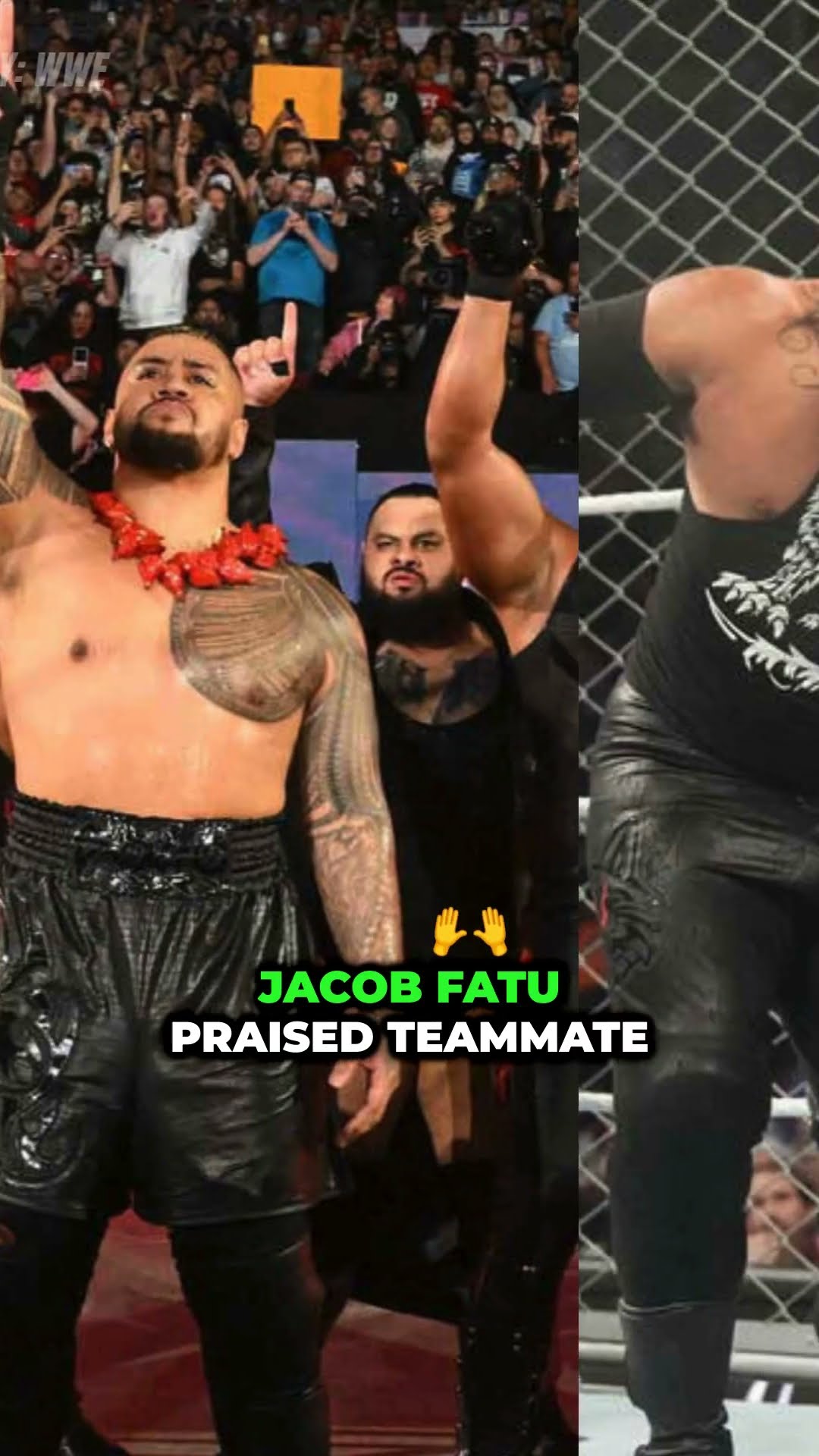 Jacob Fatu on Survivor Series –Will the Bloodline Rise Again #JacobFatu #SurvivorSeries #WWE #shorts