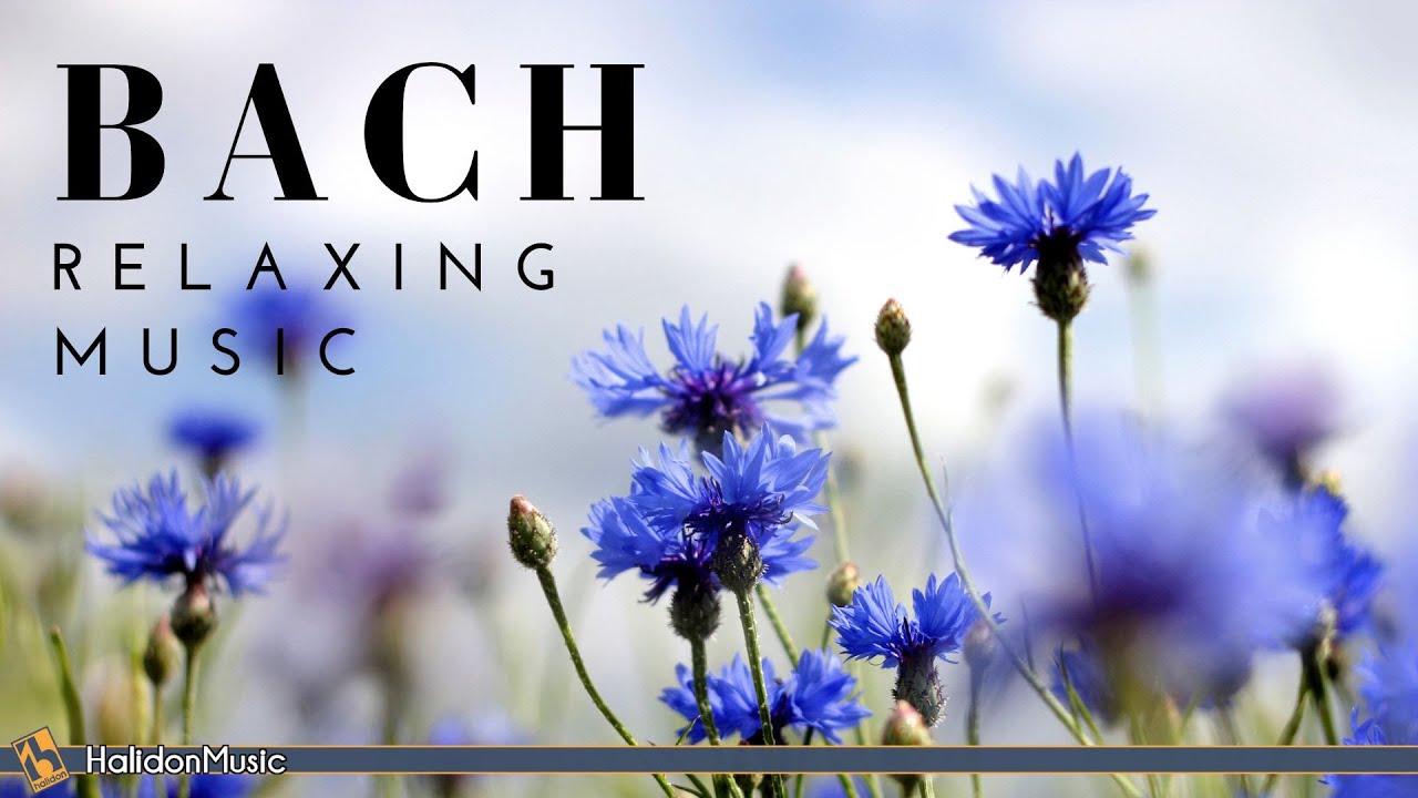 ⁣Bach - Classical Music for Relaxation